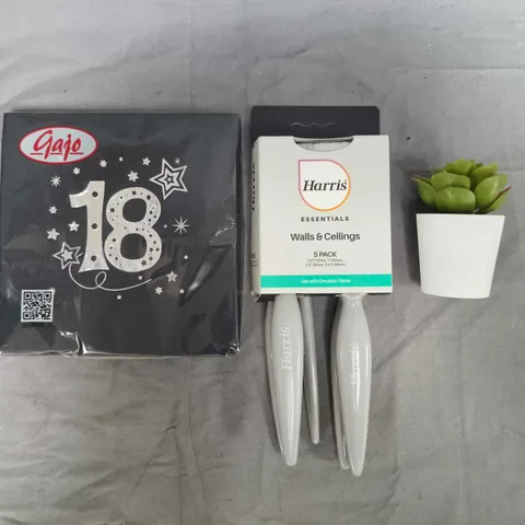 APPROXIMATELY 10 ASSORTED HOUSEHOLD ITEMS TO INCLUDE SMALL FAUX SUCCULENT, HARRIS 5-PACK OF BRUSHES, ETC