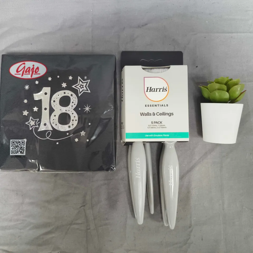APPROXIMATELY 10 ASSORTED HOUSEHOLD ITEMS TO INCLUDE SMALL FAUX SUCCULENT, HARRIS 5-PACK OF BRUSHES, ETC