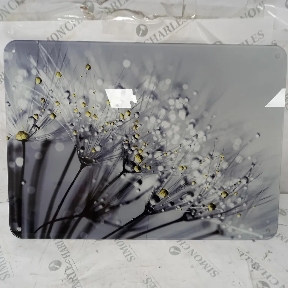 BOXED WALL ART DANDELION PHOTOGRAPHIC PRINT