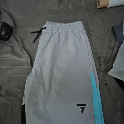 GRID OFFICIAL EVERY SHORTS – LIGHT GREY WITH TEAL SIDE PANELS, SIZE XL