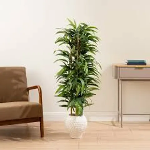 130CM SLIMLINE BAMBOO TREE IN DIMPLED CERAMIC POT – BOXED