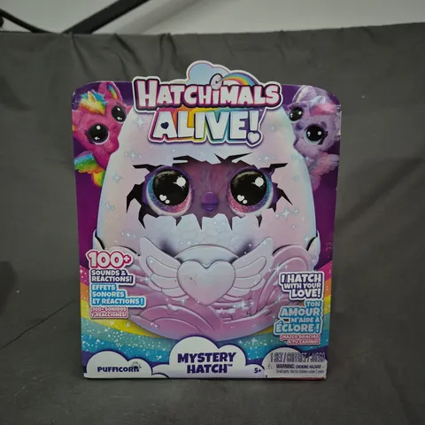 HATCHIMALS ALIVE - MYSTERY HATCH