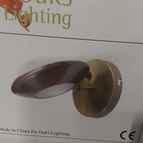 BOXED SEVERN SPOTLIGHT 