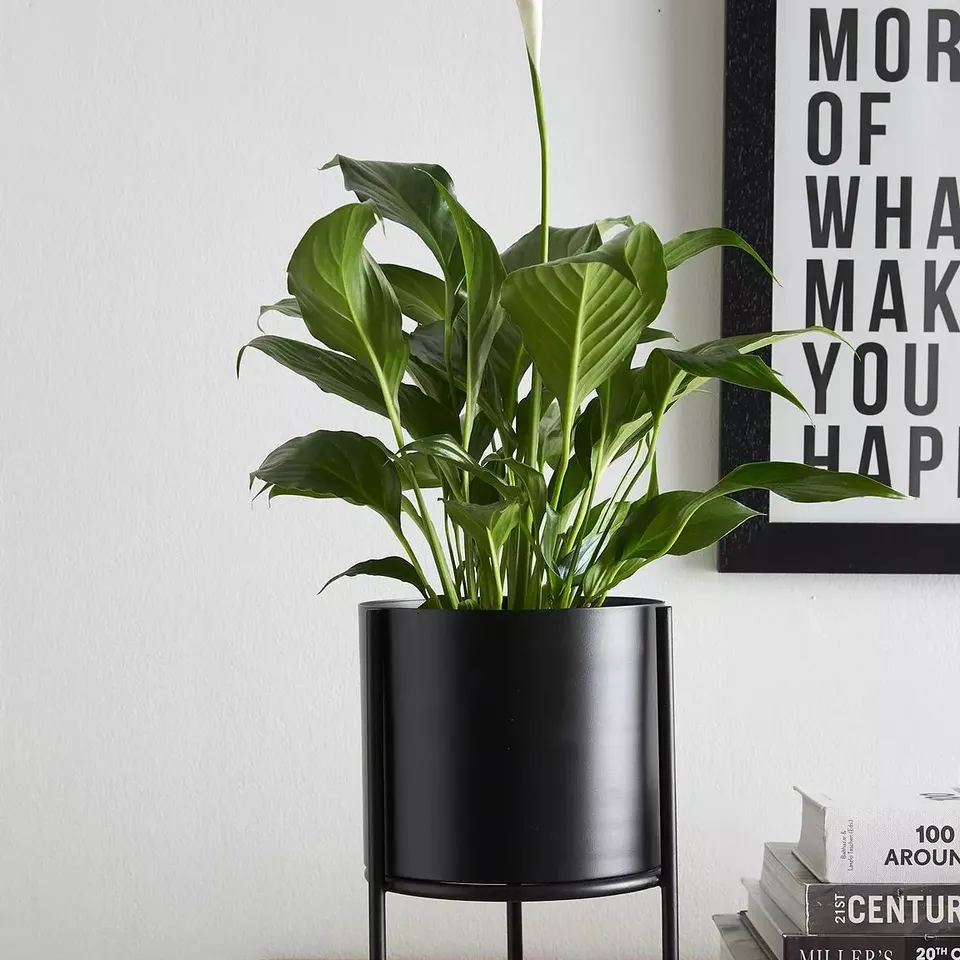THE VERY COLLECTION STANDING METAL PLANTER - BLACK