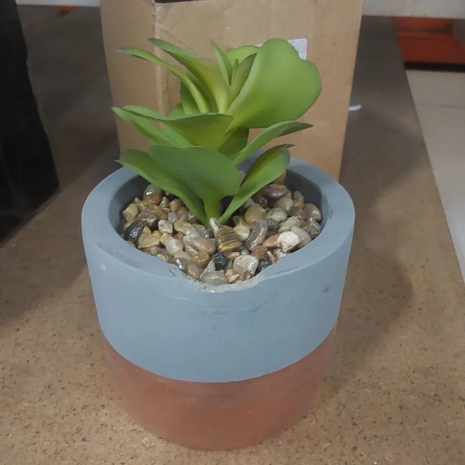BOXED ARTIFICIAL SUCCULENT 