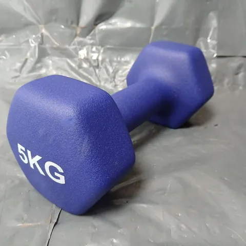 5kg DUMBELL WEIGHT IN BLUE