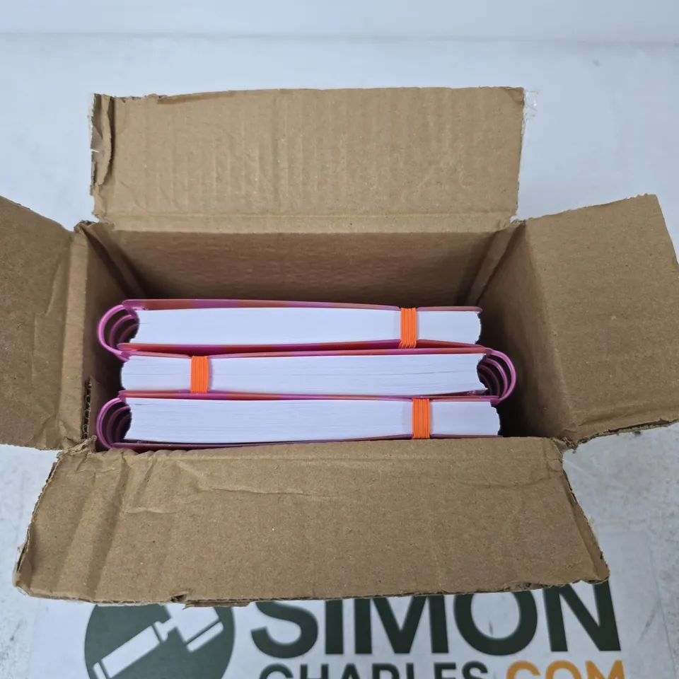 2026–2027 DIARIES (3-PACK) WITH PINK/ORANGE STRIPED COVERS