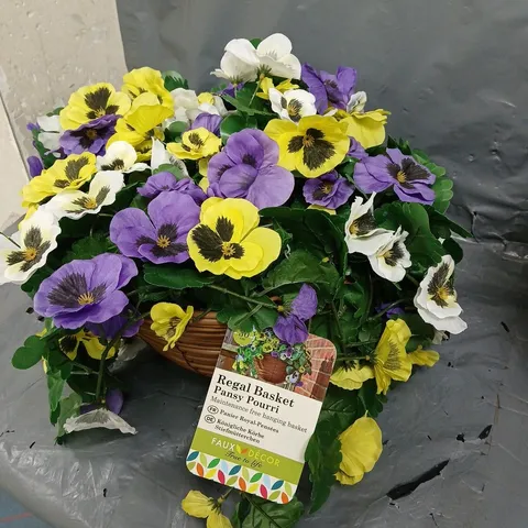 REGAL BASKET PANSY PORRI FREE HANGING BASKET 