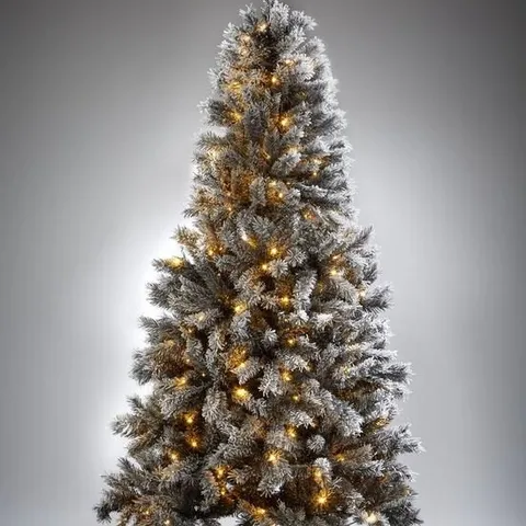 BOXED 7FT BLACK FOREST FLOCKED PRE-LIT CHRISTMAS TREE - COLLECTION ONLY