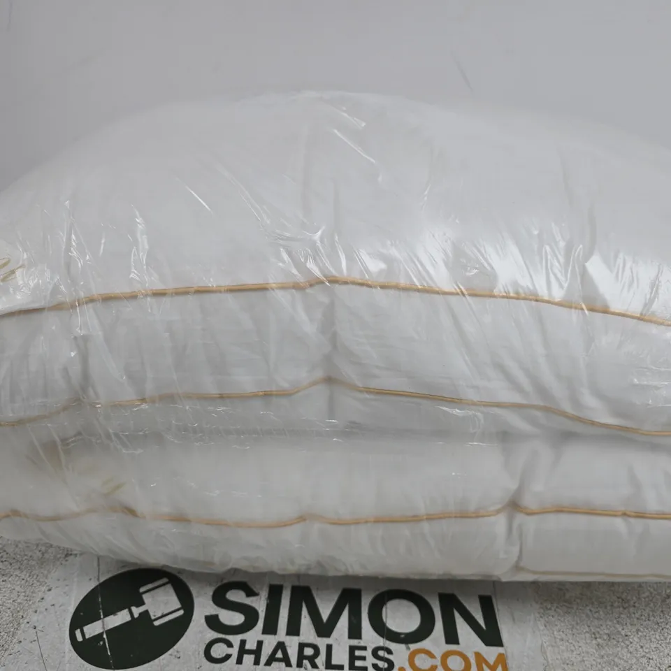 SEALED PACK OF 2 LUXURY HOTEL PILLOWS 