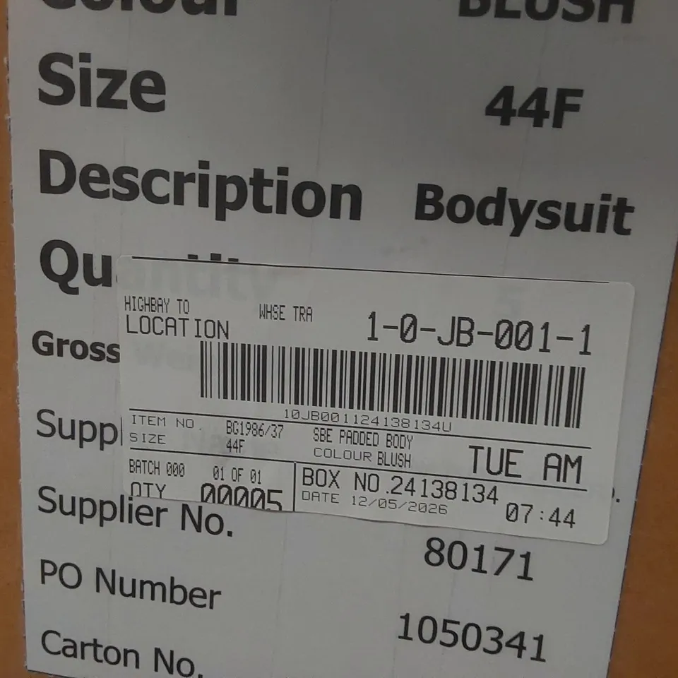 BOX CONTAINING APPROXIMATELY 5x BRAND NEW SIMPLY BE BLUSH PADDED BODYSUITS - SIZE 44F