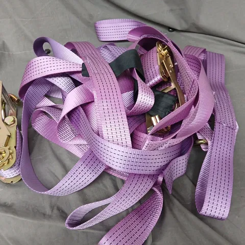 HEAVY DUTY RATCHET STRAPS IN PURPLE