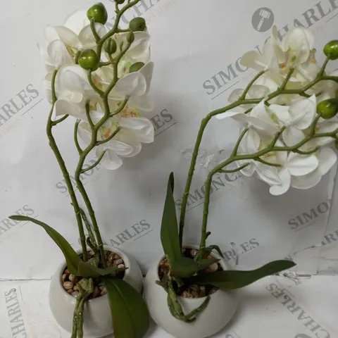 HOME REFLECTIONS SET OF TWO FAUX ORCHIDS WHITE