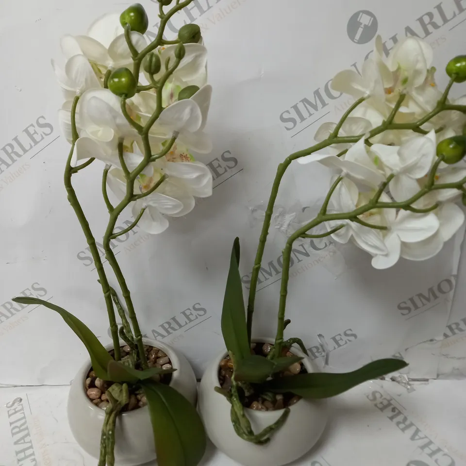 HOME REFLECTIONS SET OF TWO FAUX ORCHIDS WHITE