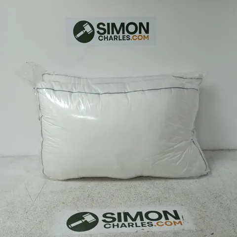 SET OF 2 PILLOWS