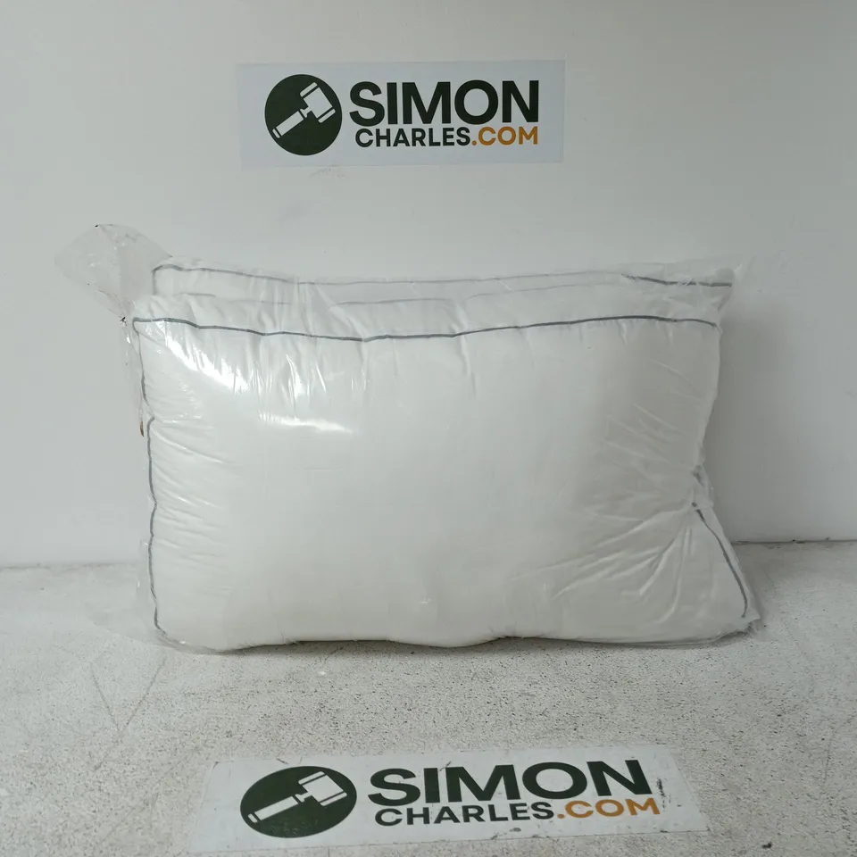 SET OF 2 PILLOWS