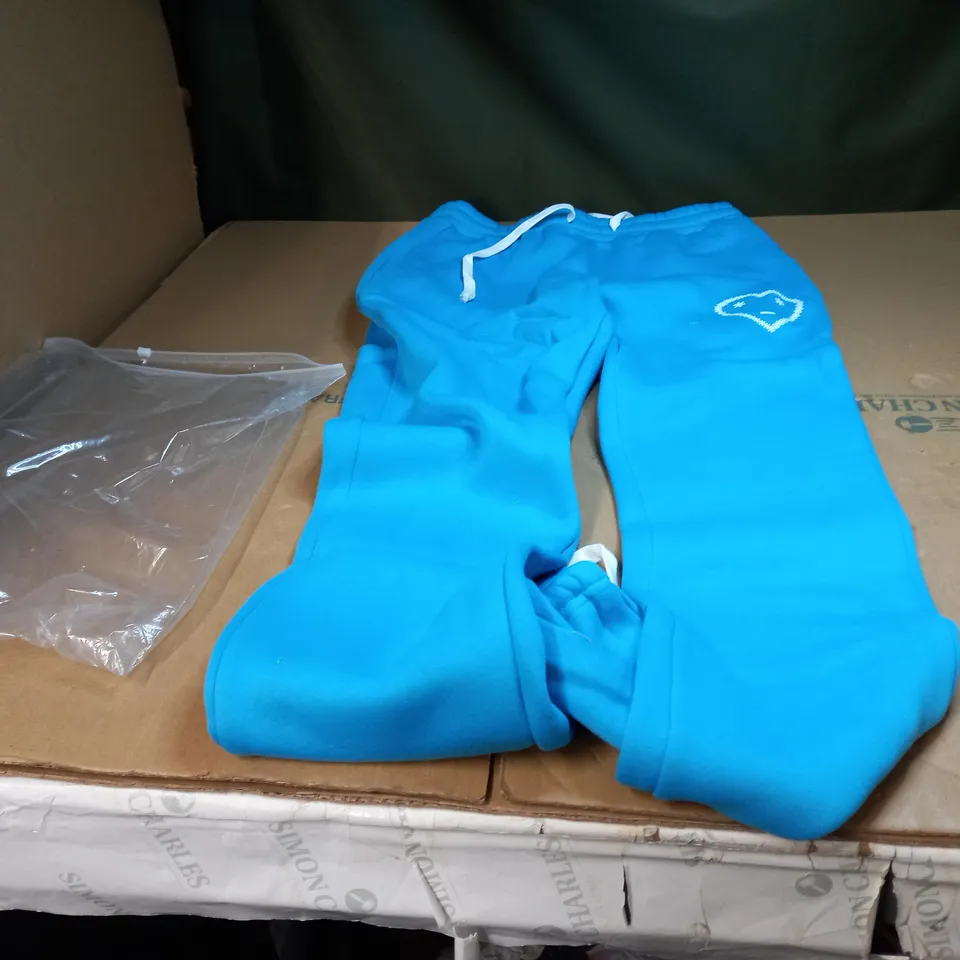 PAIR OF SKY BLUE PATTERNED JOGGERS XL