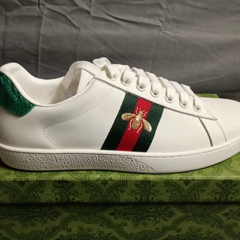 BOXED PAIR OF GUCCI WHITE LEATHER SNEAKERS- UK SIZE UNSPECIFIED