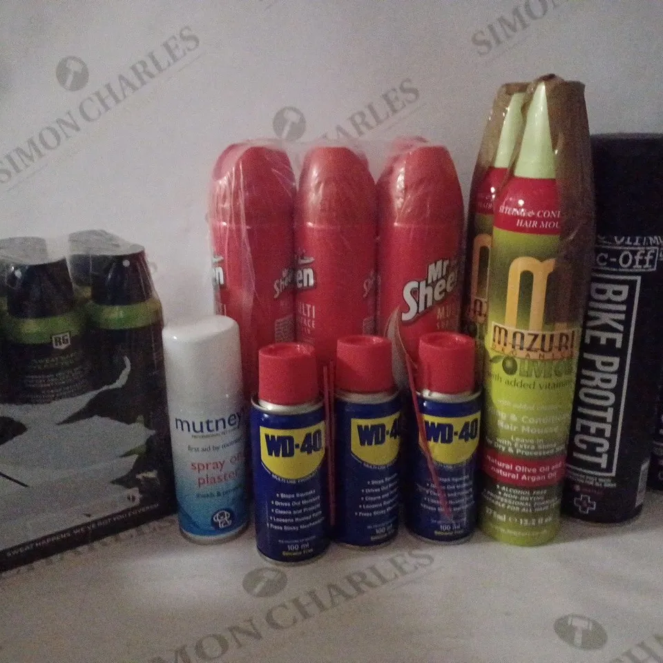 BOX OF HOPSEHOLD ITEMS TO INCLUDE MAZURI HAIR MOUSE , WD-40 , ETC
