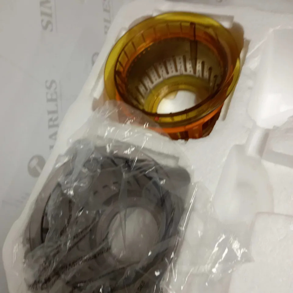 FRIDJA MASTICATING JUICER