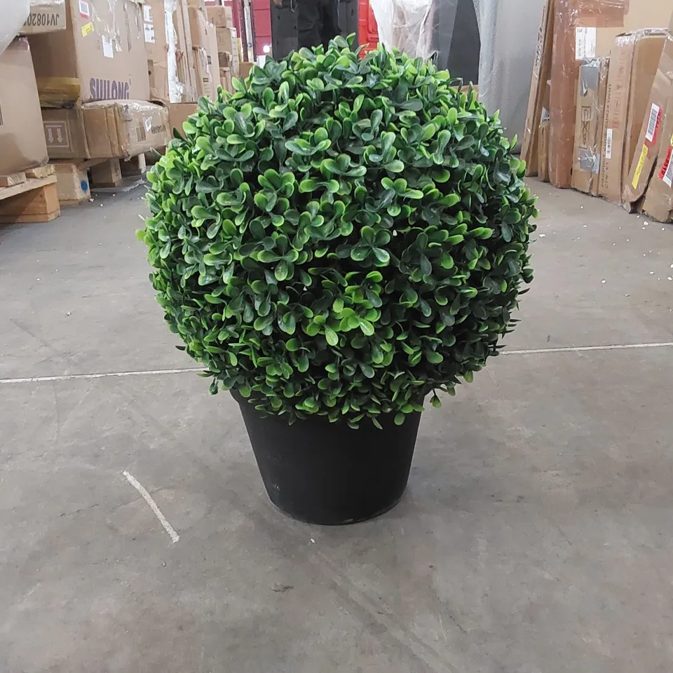 BOXED FAUX BOXWOOD PLANT IN POT (1 BOX)