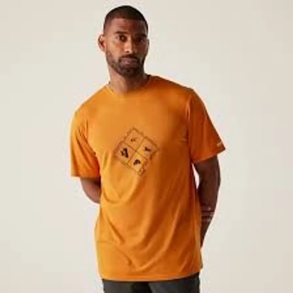 BRAND NEW REGATTA FINGAL T-SHIRT IN ORANGE - UK M