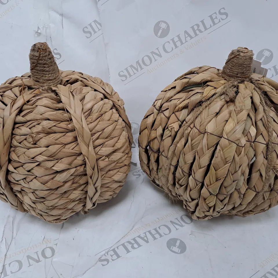 WICKER-EFFECT SET OF 2 PUMPKINS RRP £25.99