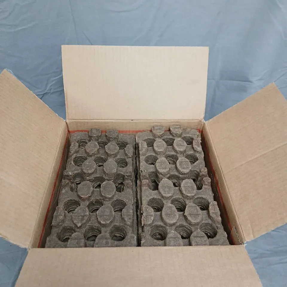 FIREBUILDER THE INSTANT FIRELIGHTER – BBQ, FIREPLACE & FIREPIT (BOXED)