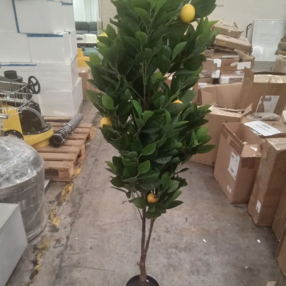 BOXED ARTIFICIAL 150CM LEMON TREE 