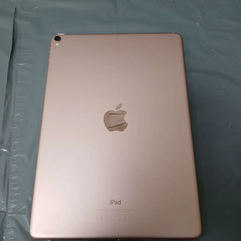 APPLE IPAD PINK