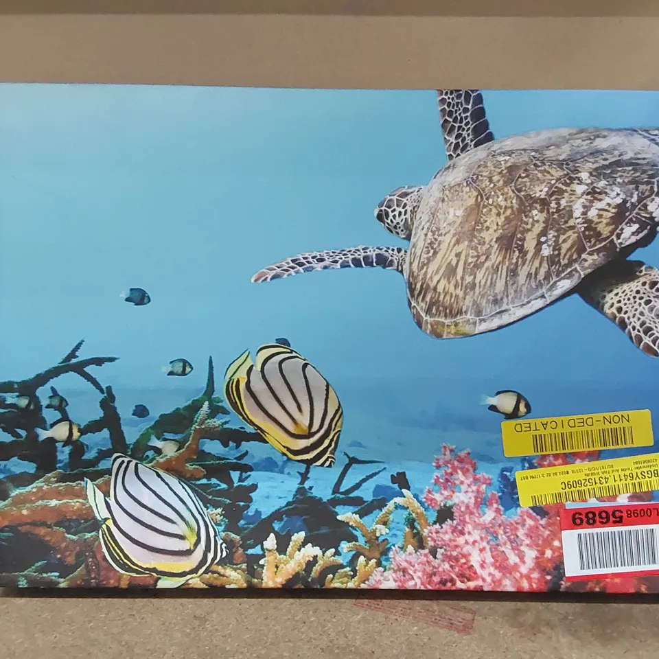 CANVAS PAINTING - UNDERWATER TURTLE AND FISH WILDLIFE (1 ITEM)