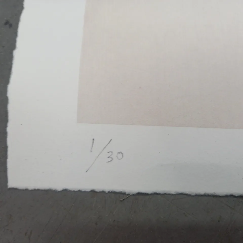 SIGNED LIMITED EDITION ARTWORK (1/30)