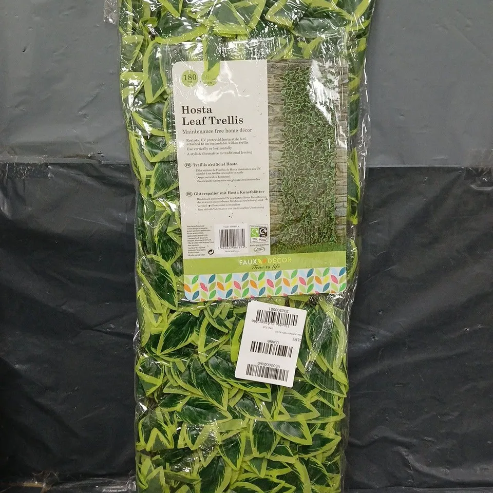 HOSTA LEAF TRELLIS 180X60CM  RRP £32.99