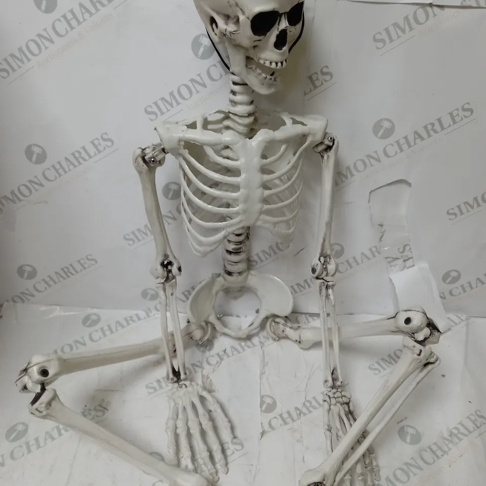 BOXED SKELETON HALLOWEEN DECORATION 