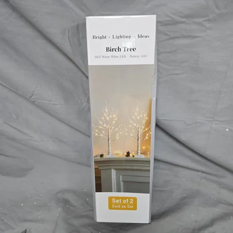 BIRCH TREE LED LIGHT DECORATION – SET OF 2 (WARM WHITE)