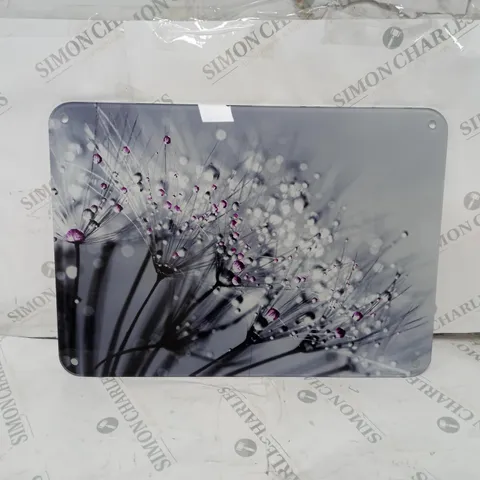 BOXED WALL ART DANDELION PHOTOGRAPHIC PRINT