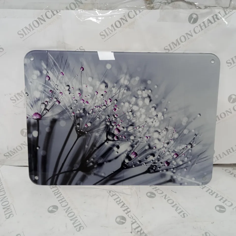 BOXED WALL ART DANDELION PHOTOGRAPHIC PRINT