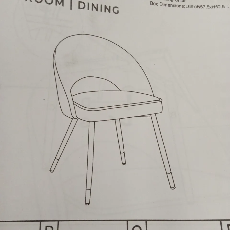 BOXED SET OF 2 DUSK LOLA DINING CHAIRS 