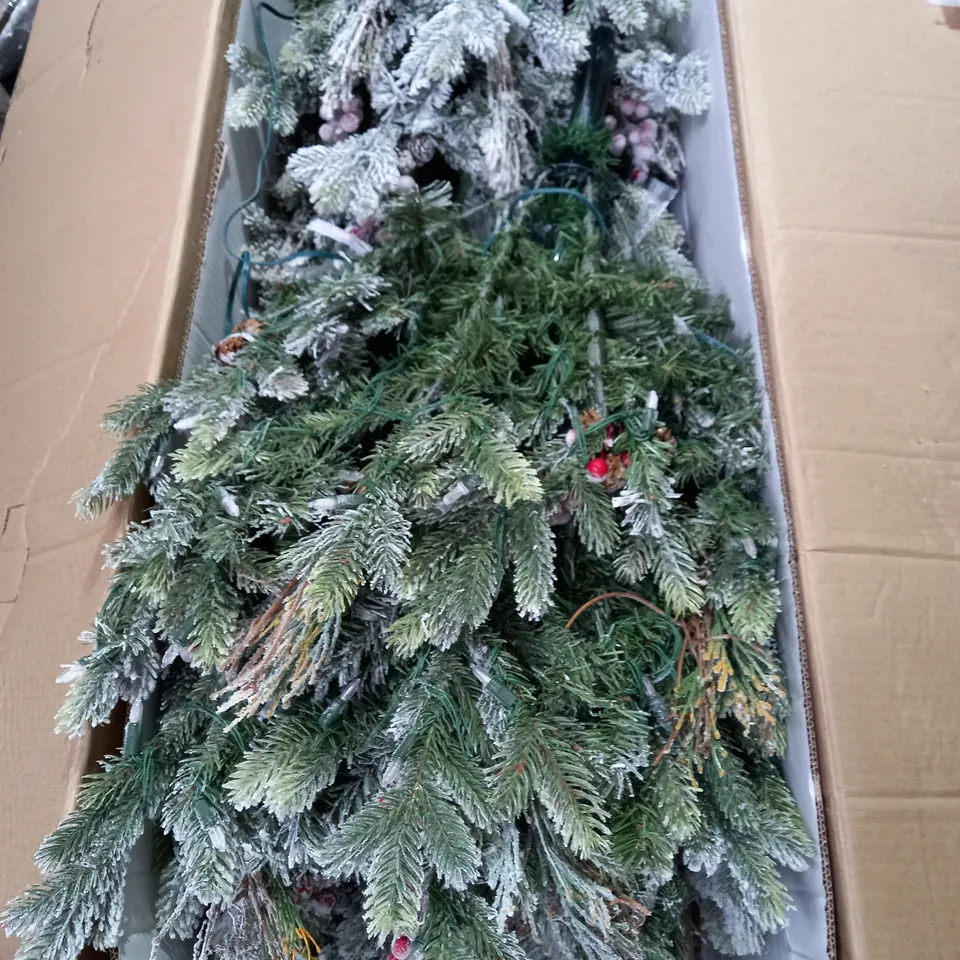 BOXED ALISON CORK SUGAR SPRUCE CHRISTMAS TREE - 6FT DUSTED - COLLECTION ONLY