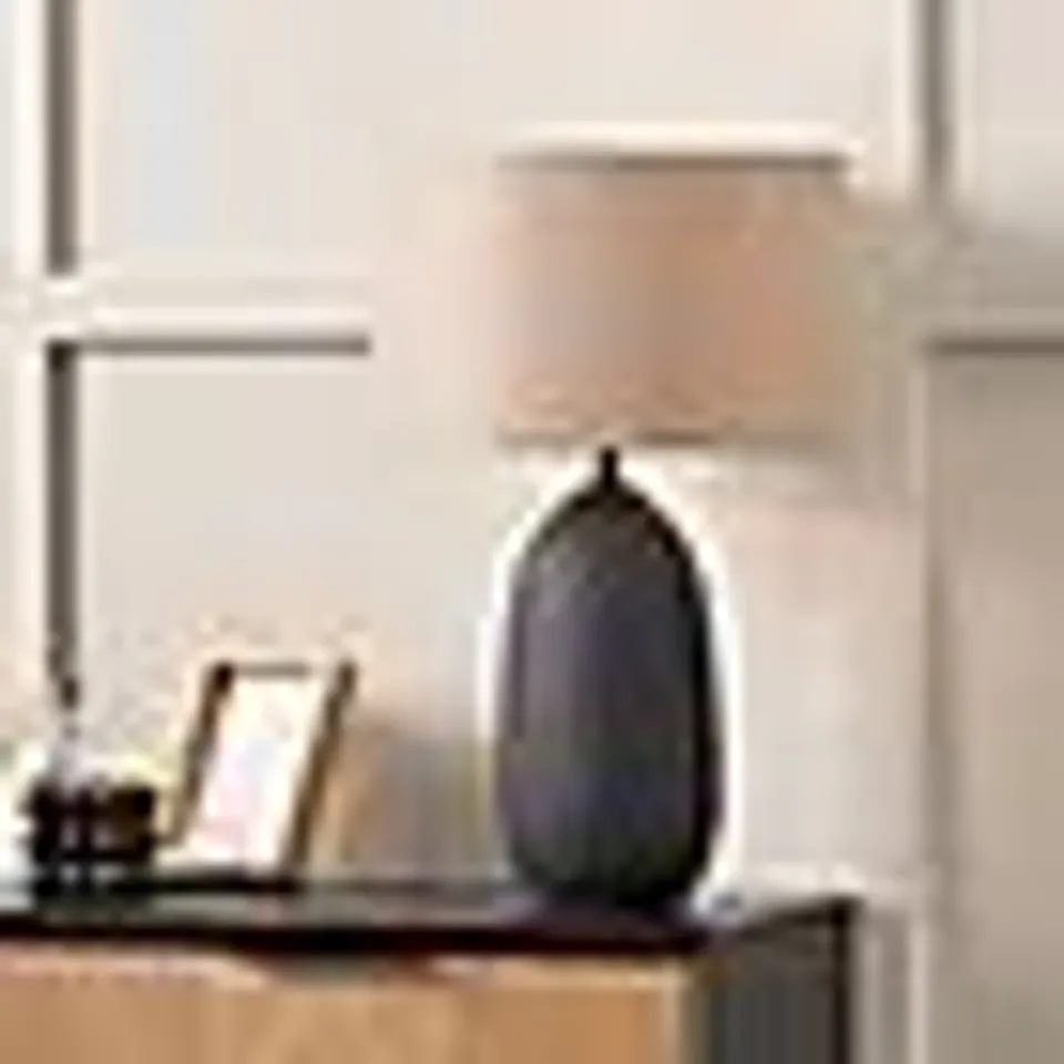 BOXED PACIFIC LIFESTYLE ERIKA TEXTURED TABLE LAMP
