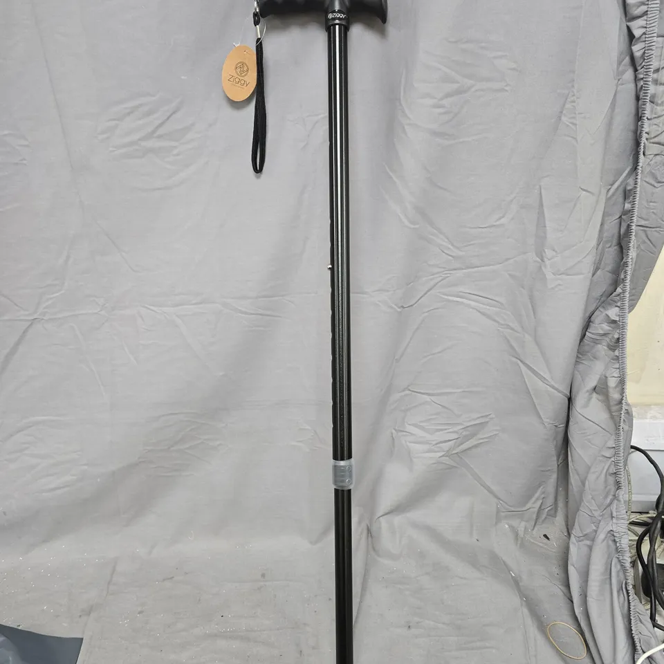 ADJUSTABLE TREKKING POLE / WALKING STICK – BLACK WITH T-HANDLE