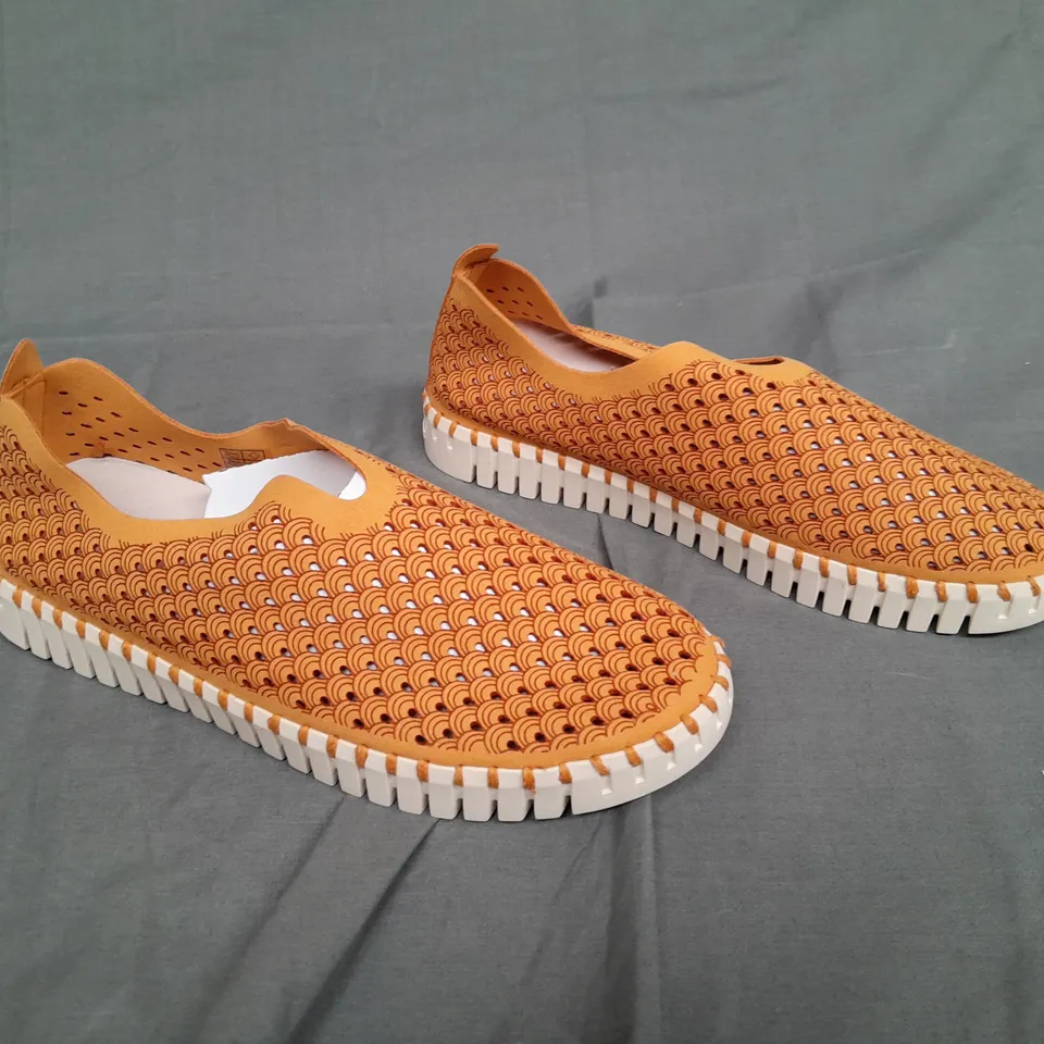 BOXED PAIR OF ILSE JACOBSEN TULIP GOLDEN NUGGET SIZE 39 
