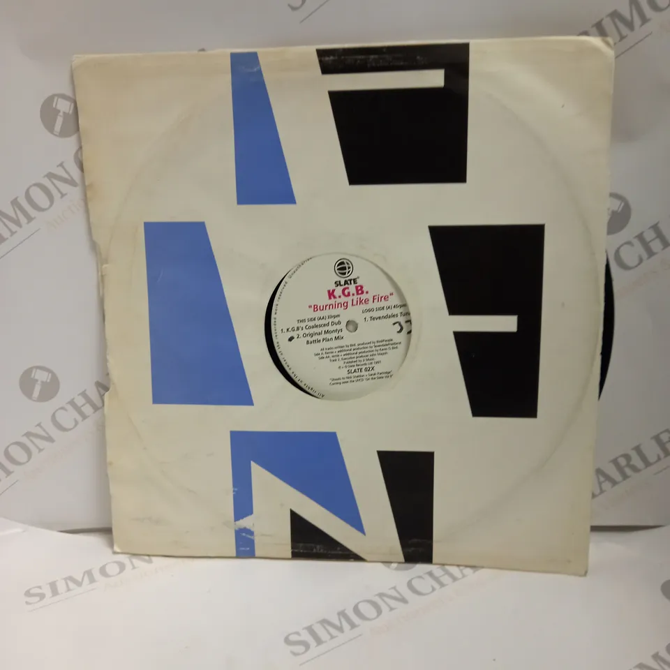 10 X ASSORTED MUSIC VINYL'S. ARTISTS VARY 