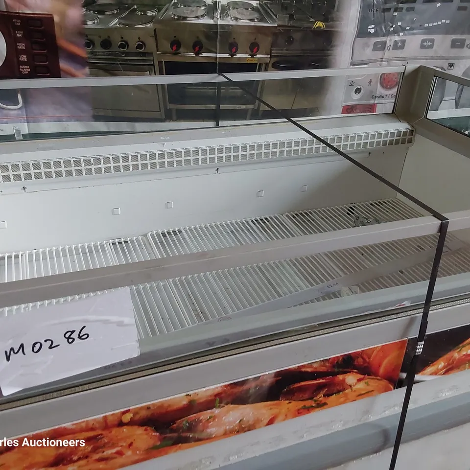 ISLAND OPEN DISPLAY CHEST FREEZER 