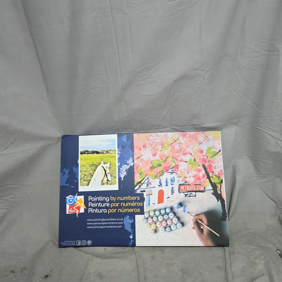 PAINTING BY NUMBERS KIT – BOXED SET