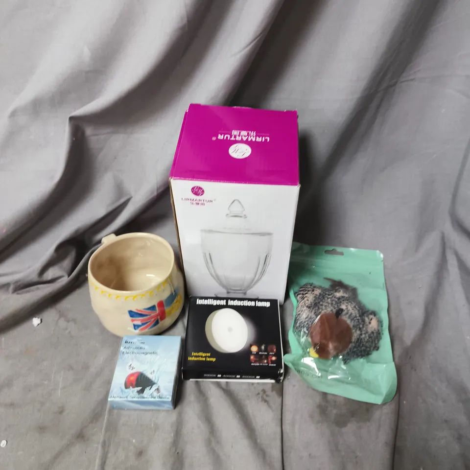 APPROXIMATELY 15 ASSORTED HOUSEHOLD ITEMS TO INCLUDE BIRD CAT TOY, GLASS CANDY JAR AND INTELLIGENT INDUCTION LAMP