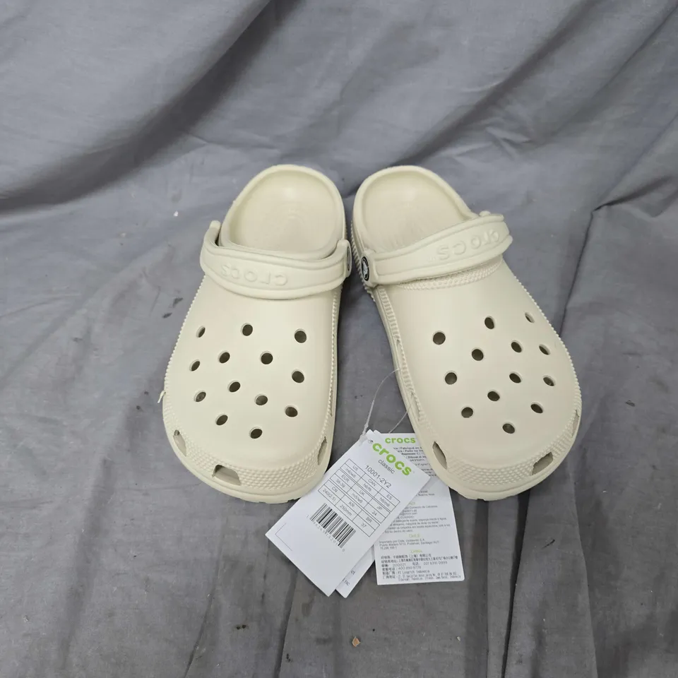 UNBOXED PAIR OF CROCS CLASSICS IN BONE - UK M5/W6
