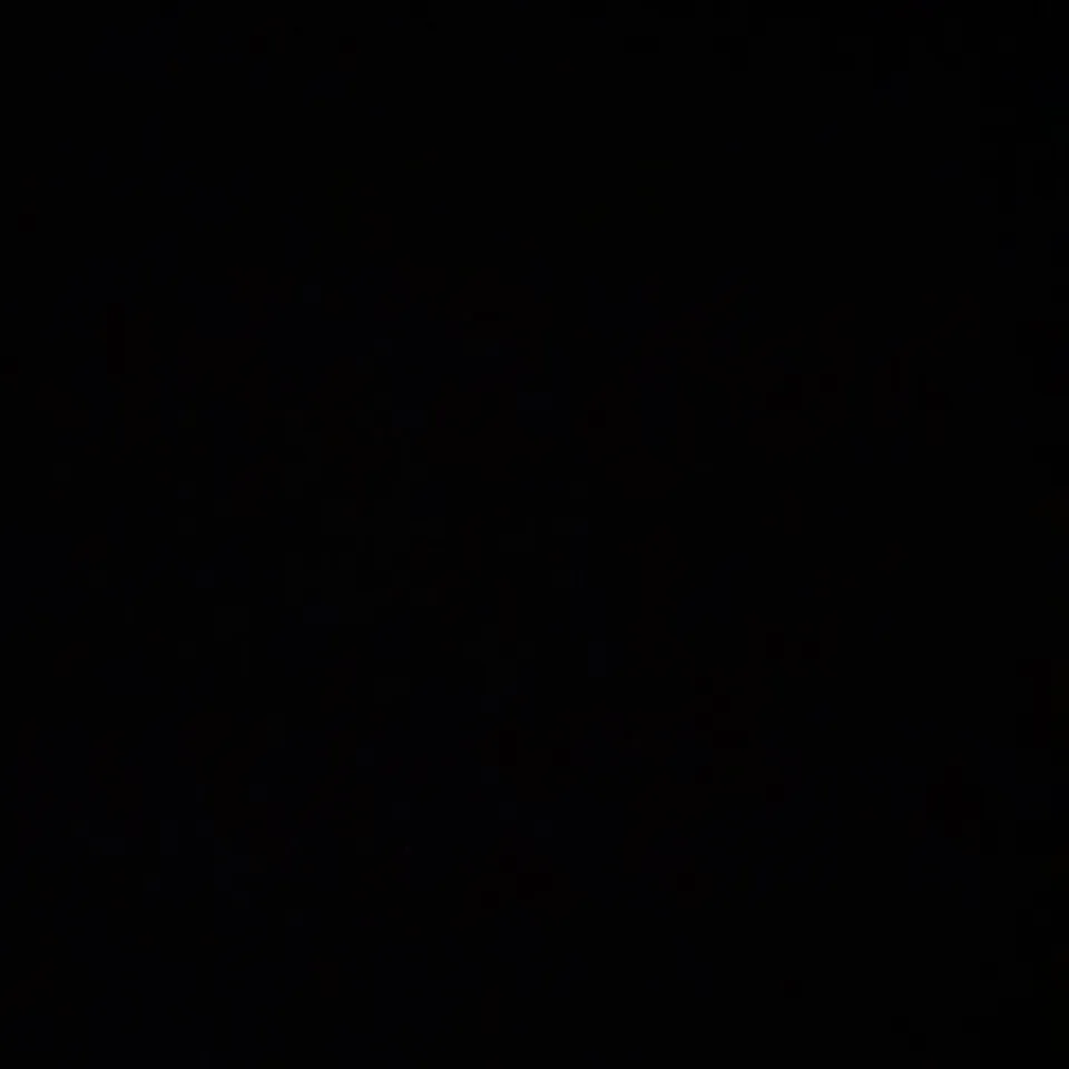 TWEEZERMAN FACIAL RAZOR WITH SPARE BLADES