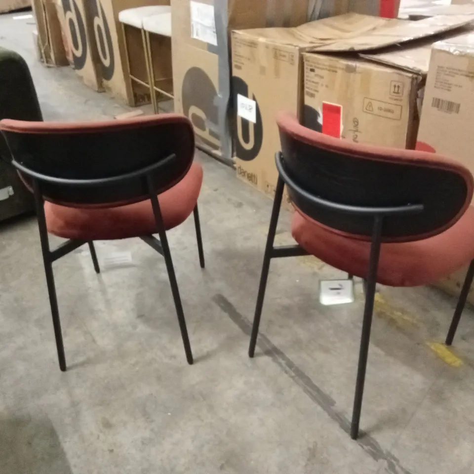 DANETTI CREE VELVET DINING CHAIR - SET OF 2