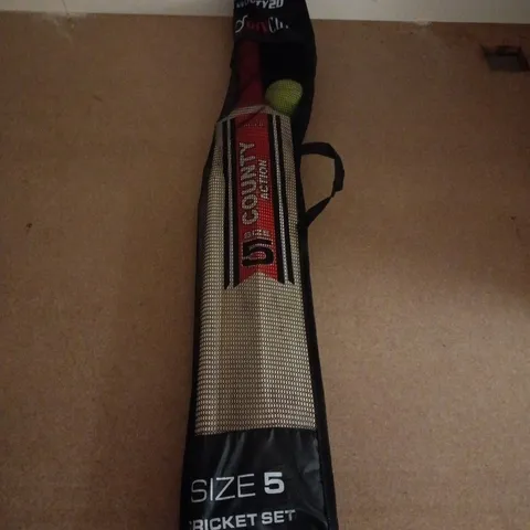 DIVCHI SIZE 5 CRICKET SET